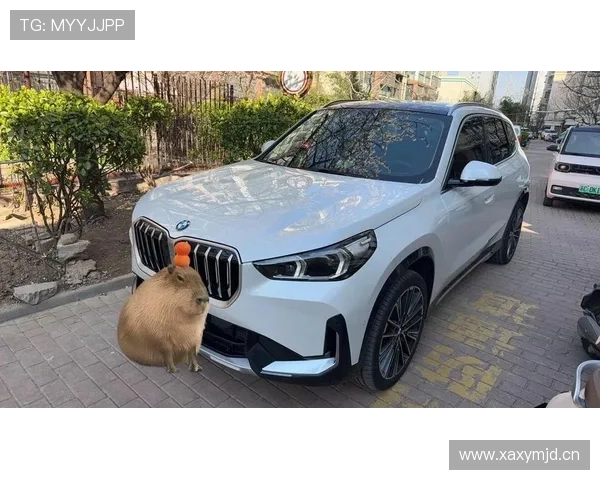 2.0T自动挡油耗6.2L，宝马家的小型代步车，原装进口，带你看MINI